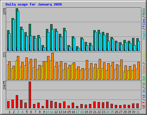 Daily usage for January 2026