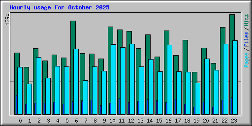 Hourly usage for October 2025