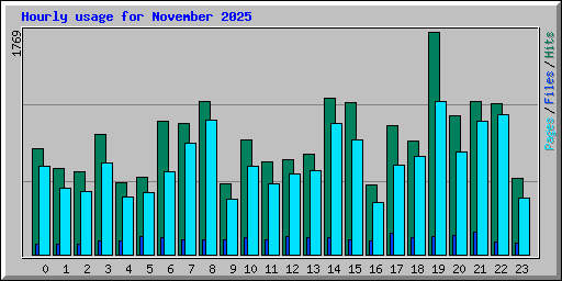 Hourly usage for November 2025