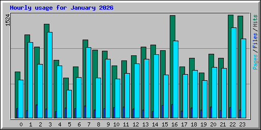 Hourly usage for January 2026